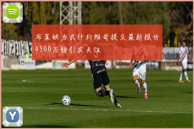 布莱顿为武什科维奇提交最新报价4500万镑引发关注