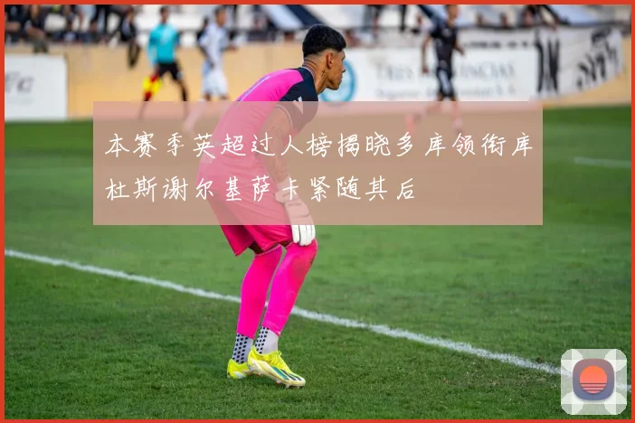 本赛季英超过人榜揭晓多库领衔库杜斯谢尔基萨卡紧随其后