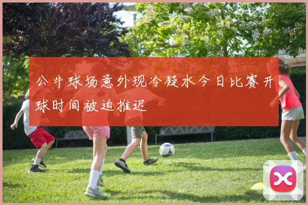 公牛球场意外现冷凝水今日比赛开球时间被迫推迟