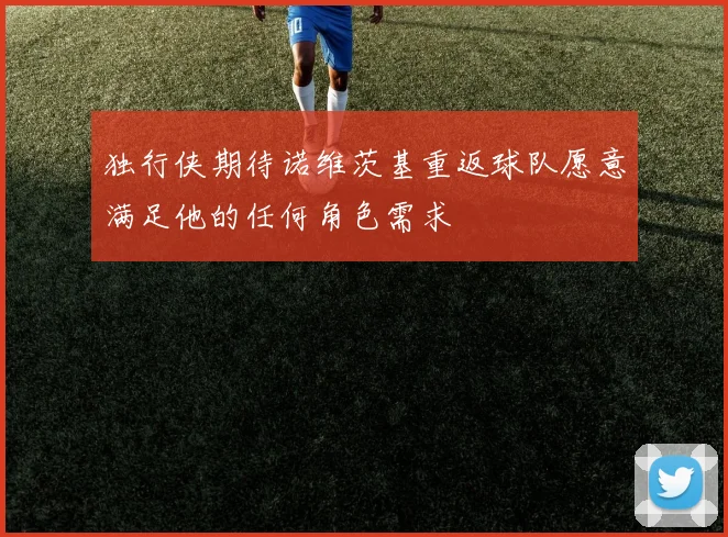 独行侠期待诺维茨基重返球队愿意满足他的任何角色需求